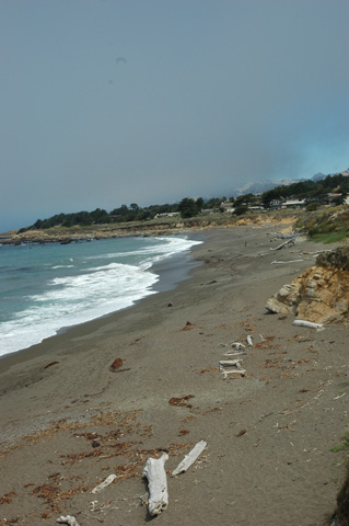 Moonstone Beach 072.jpg